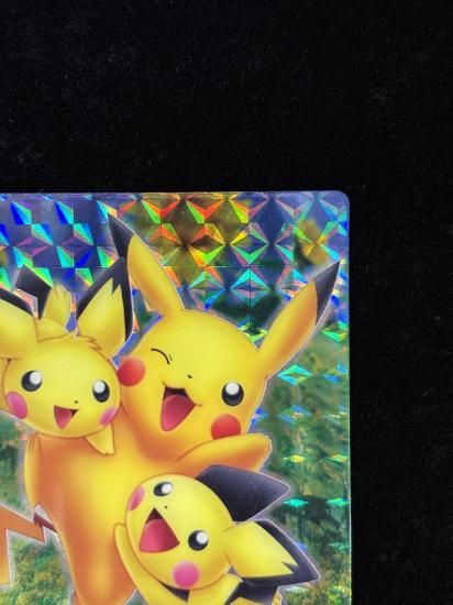 【状態A-】●ずかんカードピカチュウ＆ピチュー兄弟