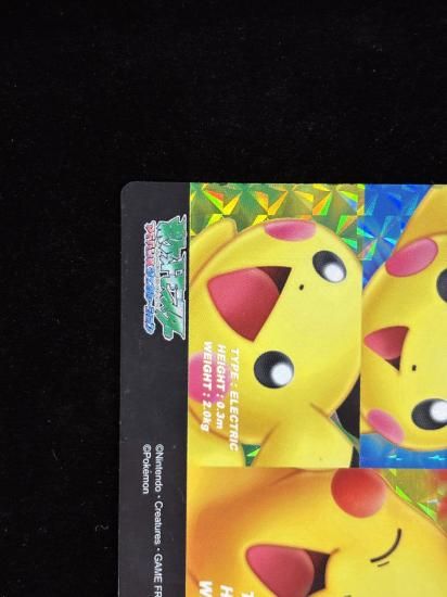 【状態A-】●ずかんカードピカチュウ＆ピチュー兄弟