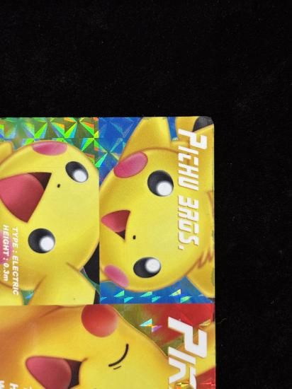 【状態A-】●ずかんカードピカチュウ＆ピチュー兄弟