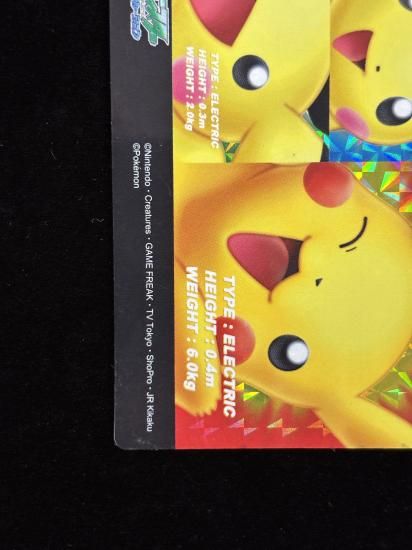 【状態A-】●ずかんカードピカチュウ＆ピチュー兄弟