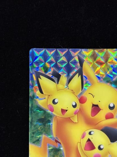 【状態A-】●ずかんカードピカチュウ＆ピチュー兄弟