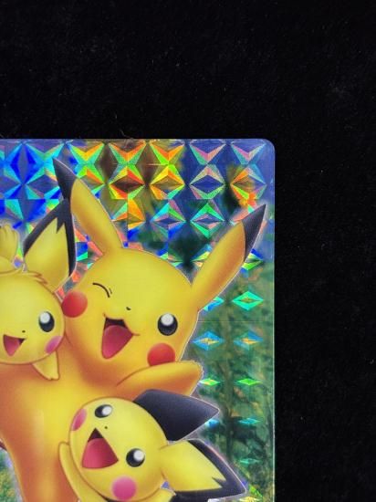 【状態A-】●ずかんカードピカチュウ＆ピチュー兄弟