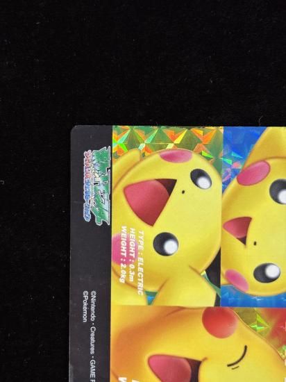 【状態A-】●ずかんカードピカチュウ＆ピチュー兄弟