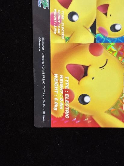 【状態A-】●ずかんカードピカチュウ＆ピチュー兄弟