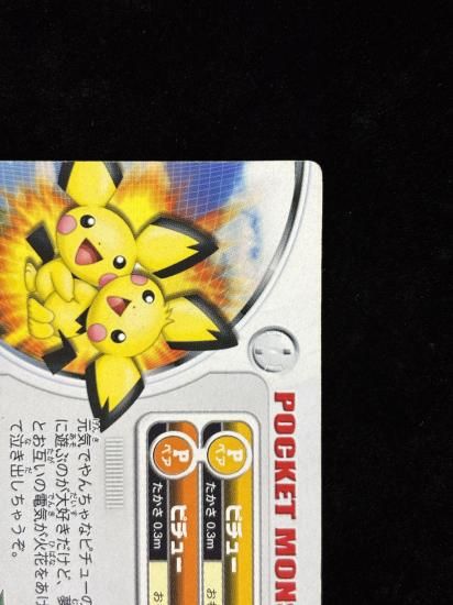 【状態B】●ずかんカードピチュー兄弟