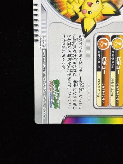 【状態B】●ずかんカードピチュー兄弟