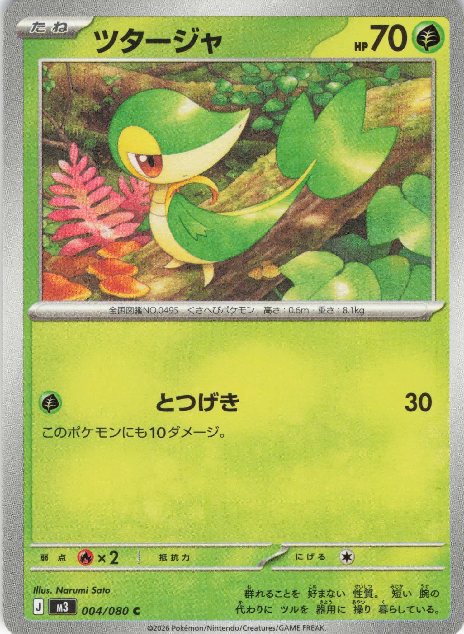 ツタージャ(004/080)［C］【M3】