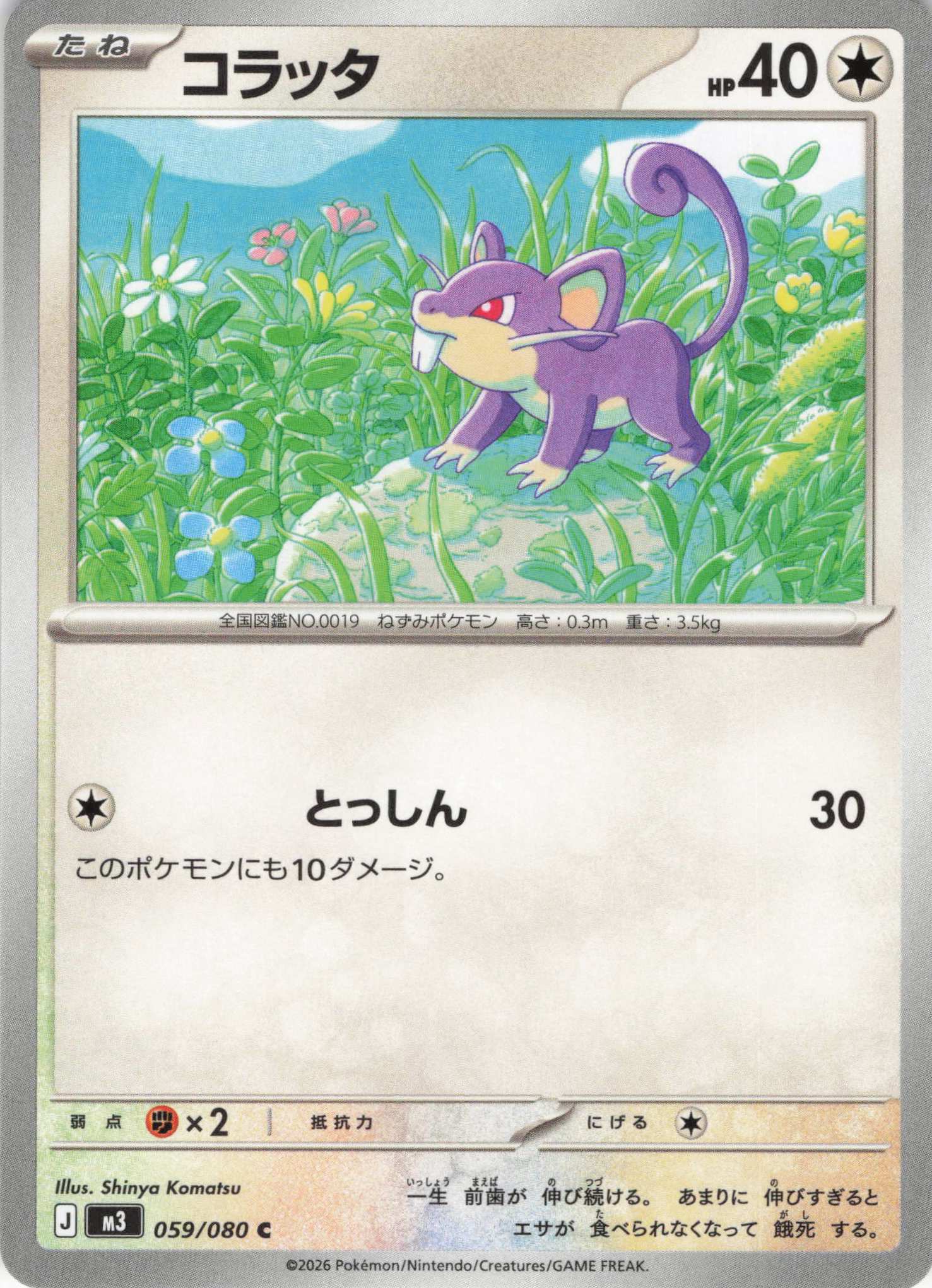 コラッタ(059/080)［C］【M3】