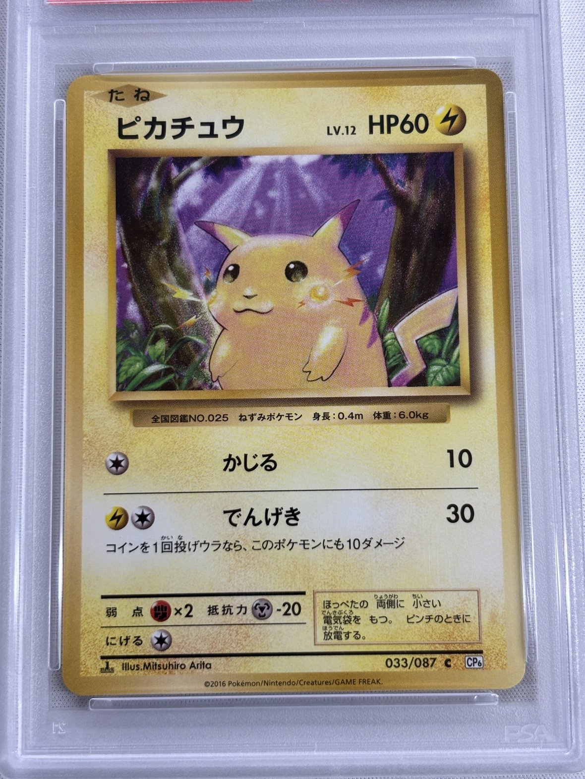 【PSA10】ピカチュウ(033/087)[C]【CP6】